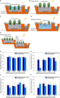Advances in ecotechnological methods for diffuse nutrient pollution control: wicked issues in agricultural and urban watersheds